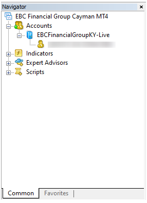 GetImage (6).png